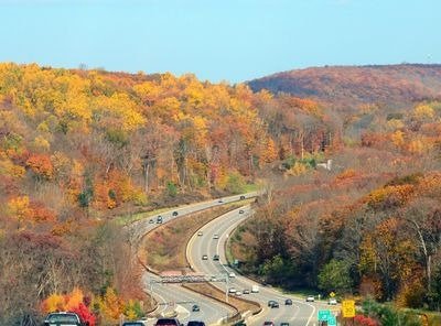 Arcadess in Westchester, NY